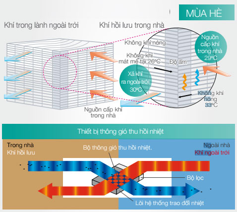 FY-01KZDY8-ben-trong-loi-he-thong-trao-doi-nhiet
