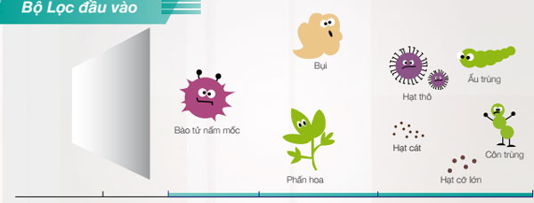 FY-800ZDY8-bo-loc-dau-vao