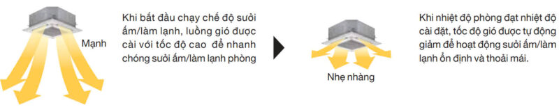 z6189049192961_bf9e9addb4463d1be938f4c3c767bf01-800x161-1